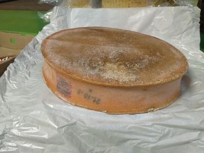 Abondance laitière AOP Affinage Buttay 9kg, vendu en gros par Auclair Négoce