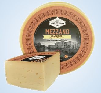 Asiago AOP ~ 6 mois 9kg, vendu en gros par Auclair Négoce
