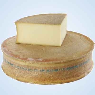 Beaufort été AOP Affinage Buttay 40kg, vendu en gros par Auclair Négoce