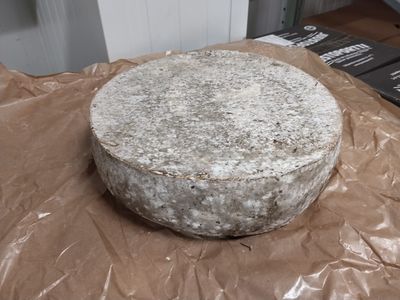 Grosse Tomme de Montagne au lait cru 6kg Fleurs, vendu en gros par Auclair Négoce