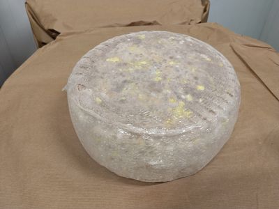 Tomme dorée des Pyrénées IGP 4.2kg, vendu en gros par Auclair Négoce