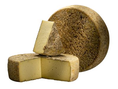 Grosse Tome de Rilhac affinage Tunnel 9kg, vendu en gros par Auclair Négoce