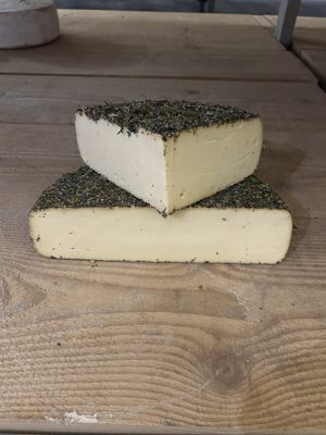 Tome Fleurie de Xaintrie Auvergne 7kg, vendu en gros par Auclair Négoce