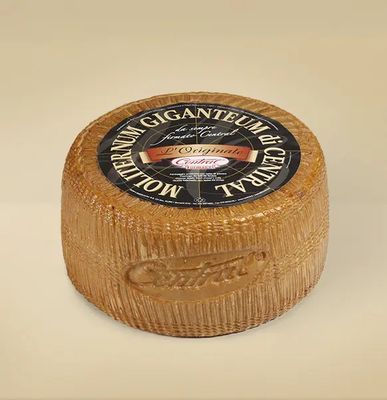 Grand Moliterno de Brebis 12.5kg 12 Mois, vendu en gros par Auclair Négoce