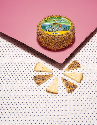 Tomme Brebis fleurie au Pollen de Châtaignier 1kg, vendu en gros par Auclair Négoce