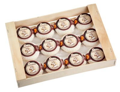 Picodon de chèvre AOP lait cru 60g, vendu en gros par Auclair Négoce