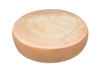 Raclette de Savoie IGP 5.5kg Schmidhauser, vendu en gros par Auclair Négoce