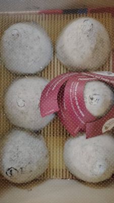 Sein de nounou frais lait cru de chèvre petit 120g, vendu en gros par Auclair Négoce