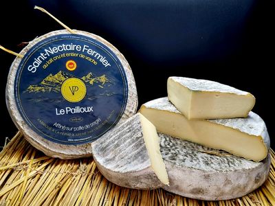 Saint Nectaire Fermier AOP paille de seigle 1.7kg, vendu en gros par Auclair Négoce