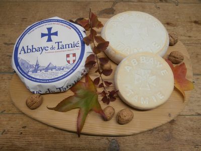 Tamie Gros modèle 1.6kg, vendu en gros par Auclair Négoce