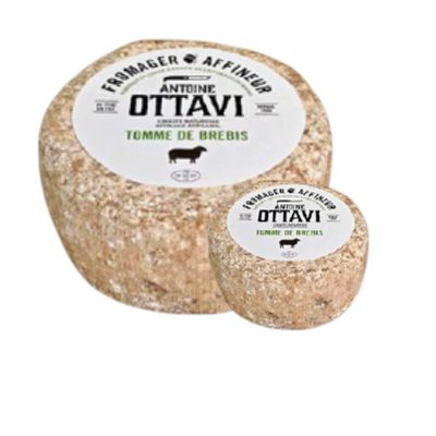 Tomme de Brebis Corse 3kg, vendu en gros par Auclair Négoce