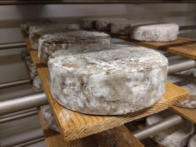 Tomme Fermière lait cru ail des ours 1,7kg, vendu en gros par Auclair Négoce