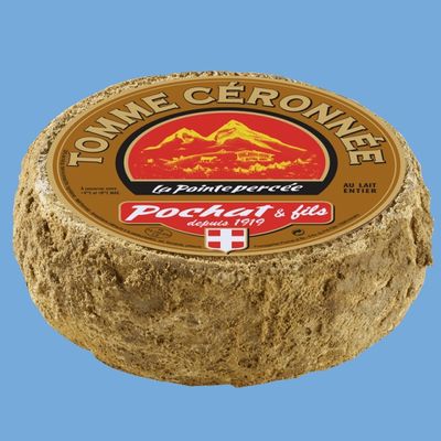 Tomme cerronée 1,5kg "Les Hauts de Savoie", vendu en gros par Auclair Négoce