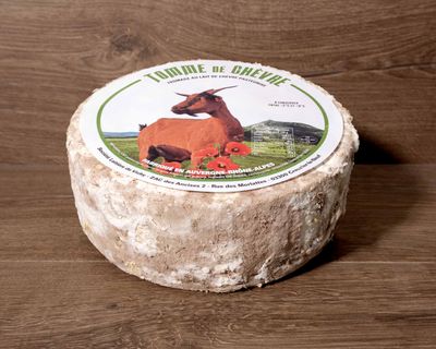 Tomme de chèvre croute grise 1.8kg, vendu en gros par Auclair Négoce