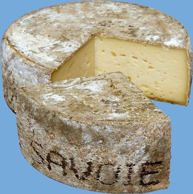 Tomme de Savoie 29% IGP Les Hauts de Savoie 1.7kg, vendu en gros par Auclair Négoce