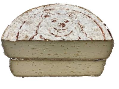 Tomme de Saint Ours au lait cru 1.5kg Schmidhauser, vendu en gros par Auclair Négoce