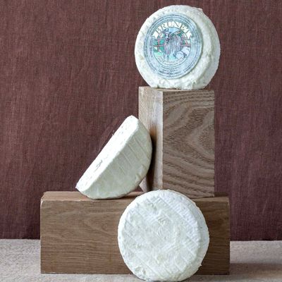 Truffolina truffes 2% vache/brebis ~220g, vendu en gros par Auclair Négoce