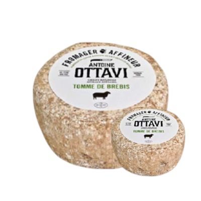 Tommette de Brebis Corse 700g, vendu en gros par Auclair Négoce