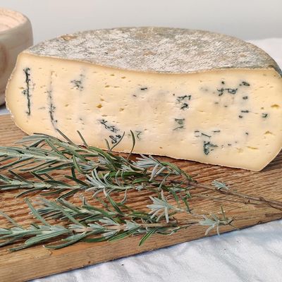 Bleu des Bauges "Valbleu" au lait cru 2,5kg, vendu en gros par Auclair Négoce