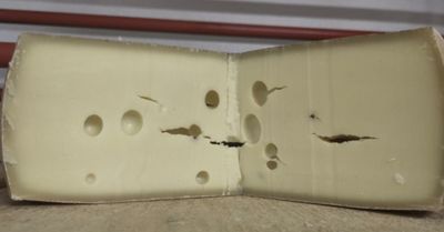 Suisse caractere 6kg +8 mois d'affinage